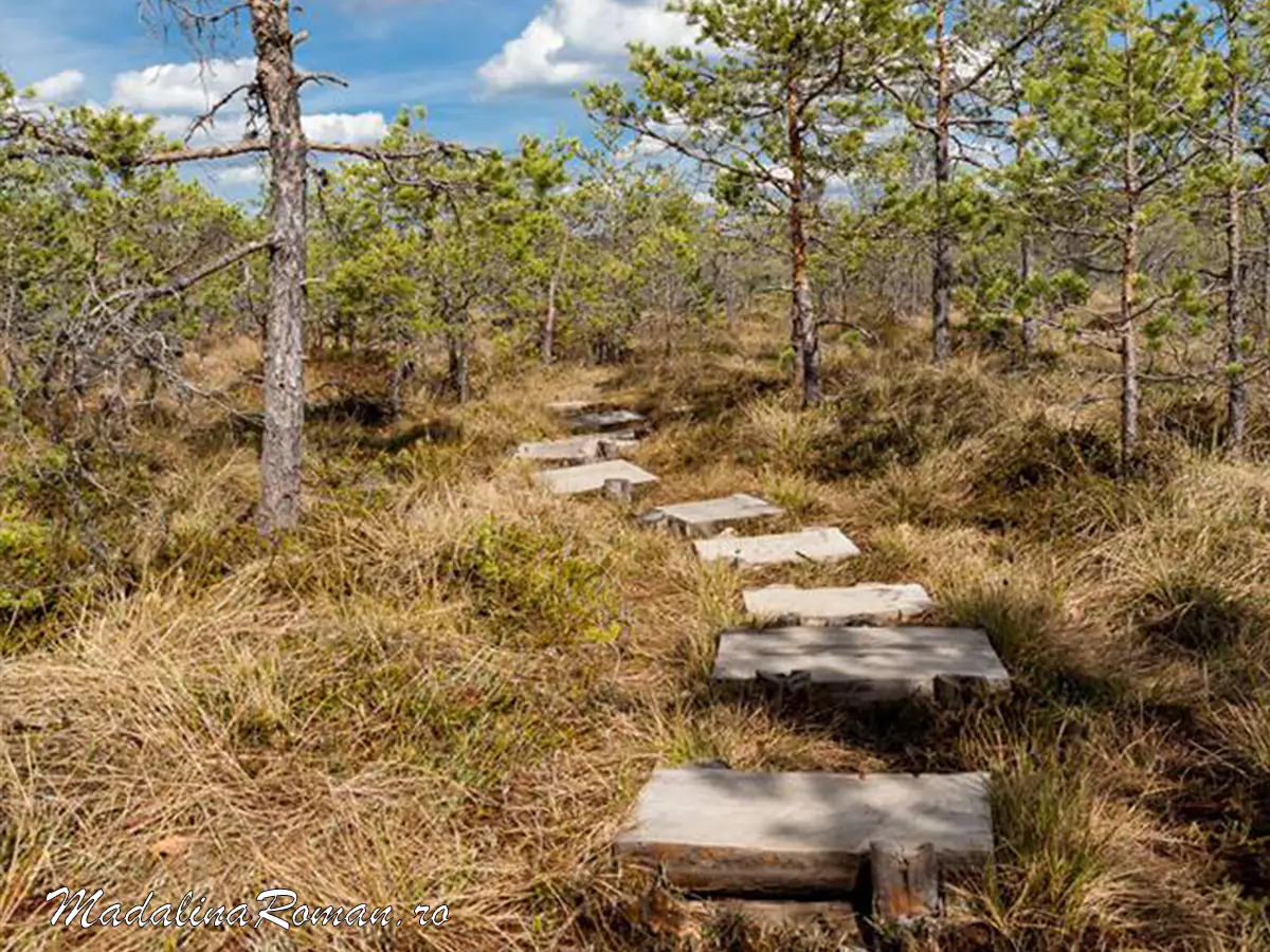 Suntem propriile noastre alegeri