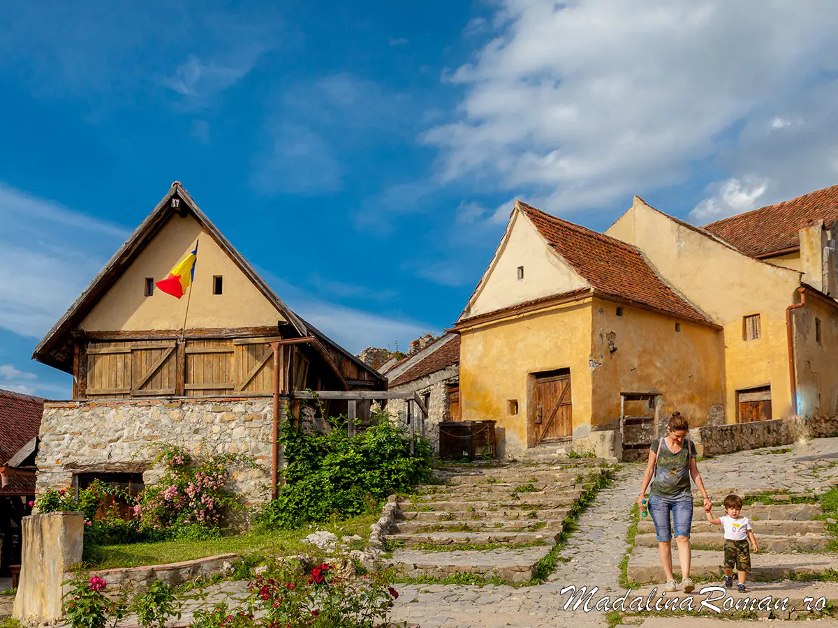 La ora de Viață (2)