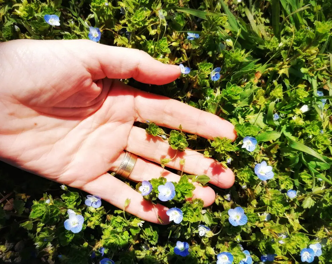 Lecțiile sunt ascunse în fiecare durere. Chiar și în cele fizice.